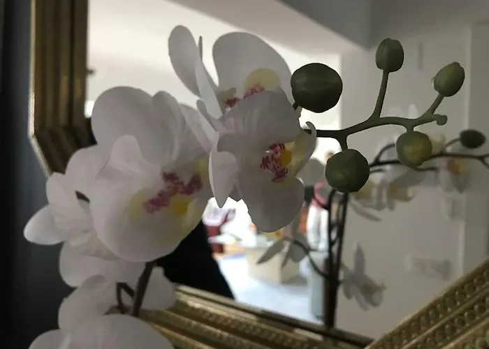 El Mirador De Paloma - Nº Lic. Vut 09/90